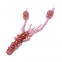 Приманка REINS Ring Shrimp 2