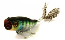 Воблер JACKALL Chubby Popper 42 цв.hl blue gill(Япония)
