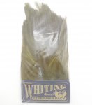 Перья петуха WHITING American Streamer Pack цв.white dyed dark olive(США)