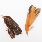 Крылья ручейника VENIARD small цв.brown speckled(Англия)