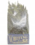 Перья петуха WHITING American Streamer Pack цв.grizzly dyed dark olive(США)
