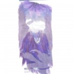 Седло петуха WHITING цв.purple(США)