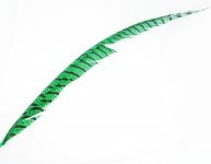 Хвостовое перо фазана Amherst HARELINE цв.green(США)
