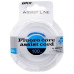 Материал BKK Fluoro Core Assist Cord 100lb 5м(Тайвань)